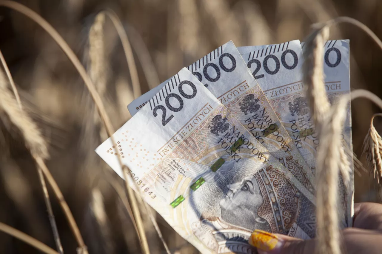 Nawet 10 mln zł na przetwórstwo. Rusza nabór wniosków: rolnicy i firmy mogą skorzystać z dotacji