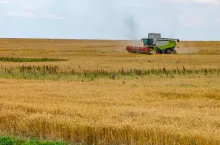 Kombajn podczas zbioru zbóż na rozległym polu.
