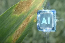 AI, rozpoznawanie chorób roślin
