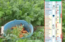 Kalendarz biodynamiczny – wrzesień