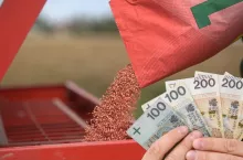 Ekoschemat czy de minimis? Taki wybór kosztował rolników nawet 800 zł