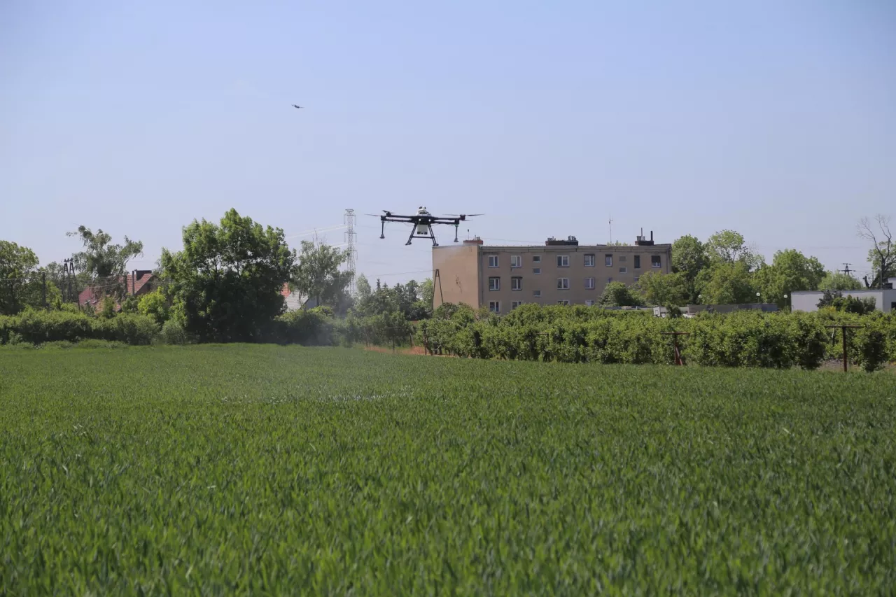 Dron latający nad polem. W tle widoczne bloki mieszkalne