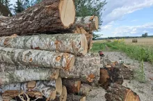 Jak długo należy suszyć drewno opałowe, aby osiągnęło optymalną wilgotność – kiedy nadaje się do pieca?