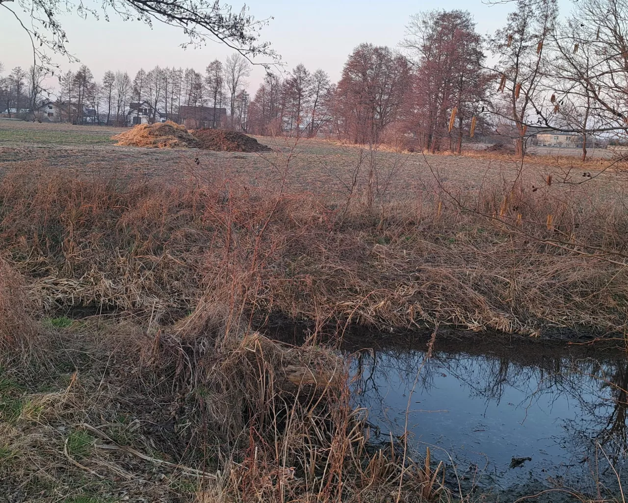Jak nie tracić wody w gospodarstwie? Rolnik może zrobić to bez dużych inwestycji
