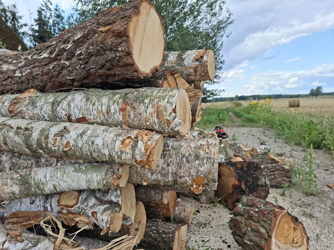 Jak długo należy suszyć drewno opałowe, aby osiągnęło optymalną wilgotność – kiedy nadaje się do pieca?