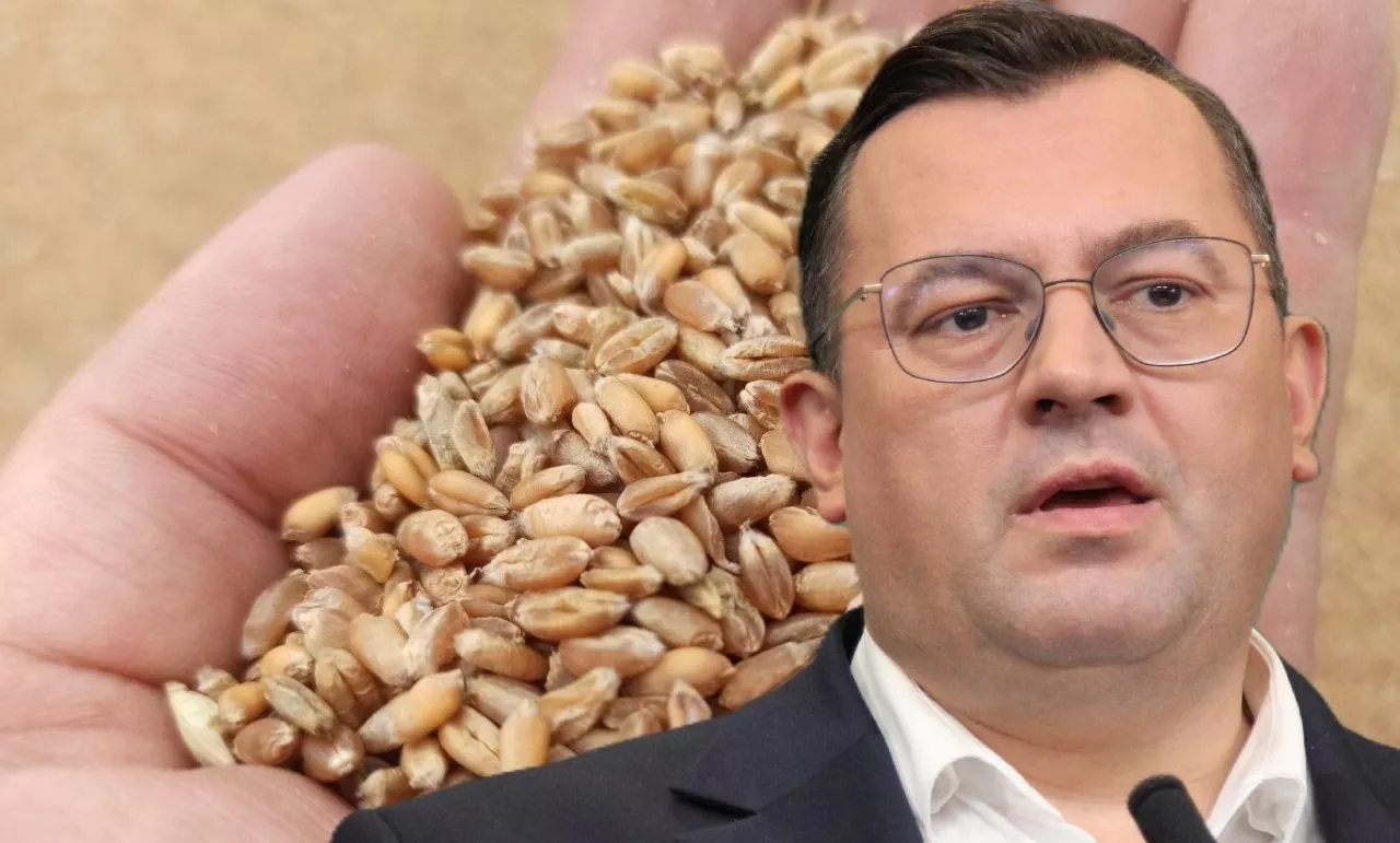 Minister rolnictwa potwierdził, że Ukraińcom zależy na pilnym wywozie zgromadzonych zapasów ziarna drogą morską