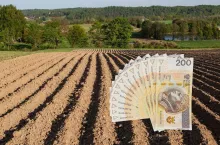 pole, po prawej u dołu polskie banknoty