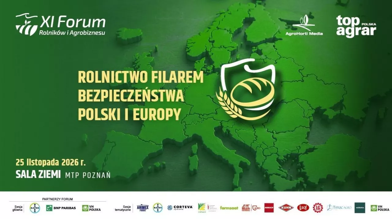 Baner Forum nowy