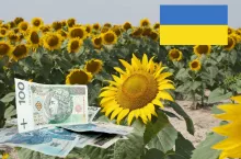 40% banków spółdzielczych wskazuje ryzyko wojenne i polityczne, a 40% – brak wystarczających instrumentów gwarancyjnych i ubezpieczeniowych