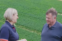Liczyli na 50 t/ha, zbiorą połowę mniej ziemniaków. Susza i wysokie koszty dobijają rolników nie tylko w Polsce