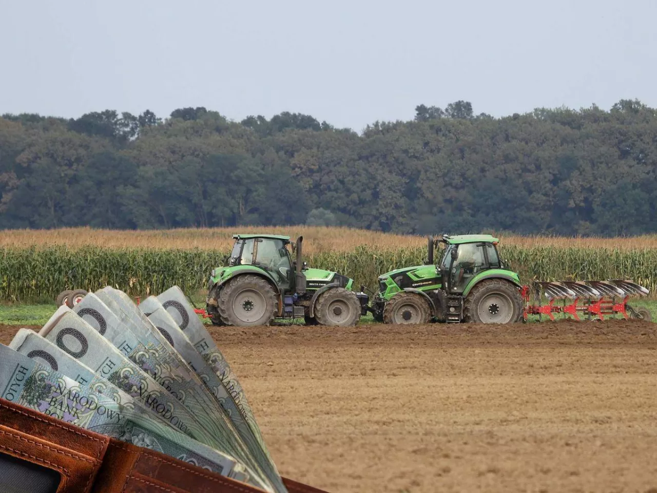 KRUS podał nowe składki. Ile rolnicy zapłacą w III kwartale 2026?