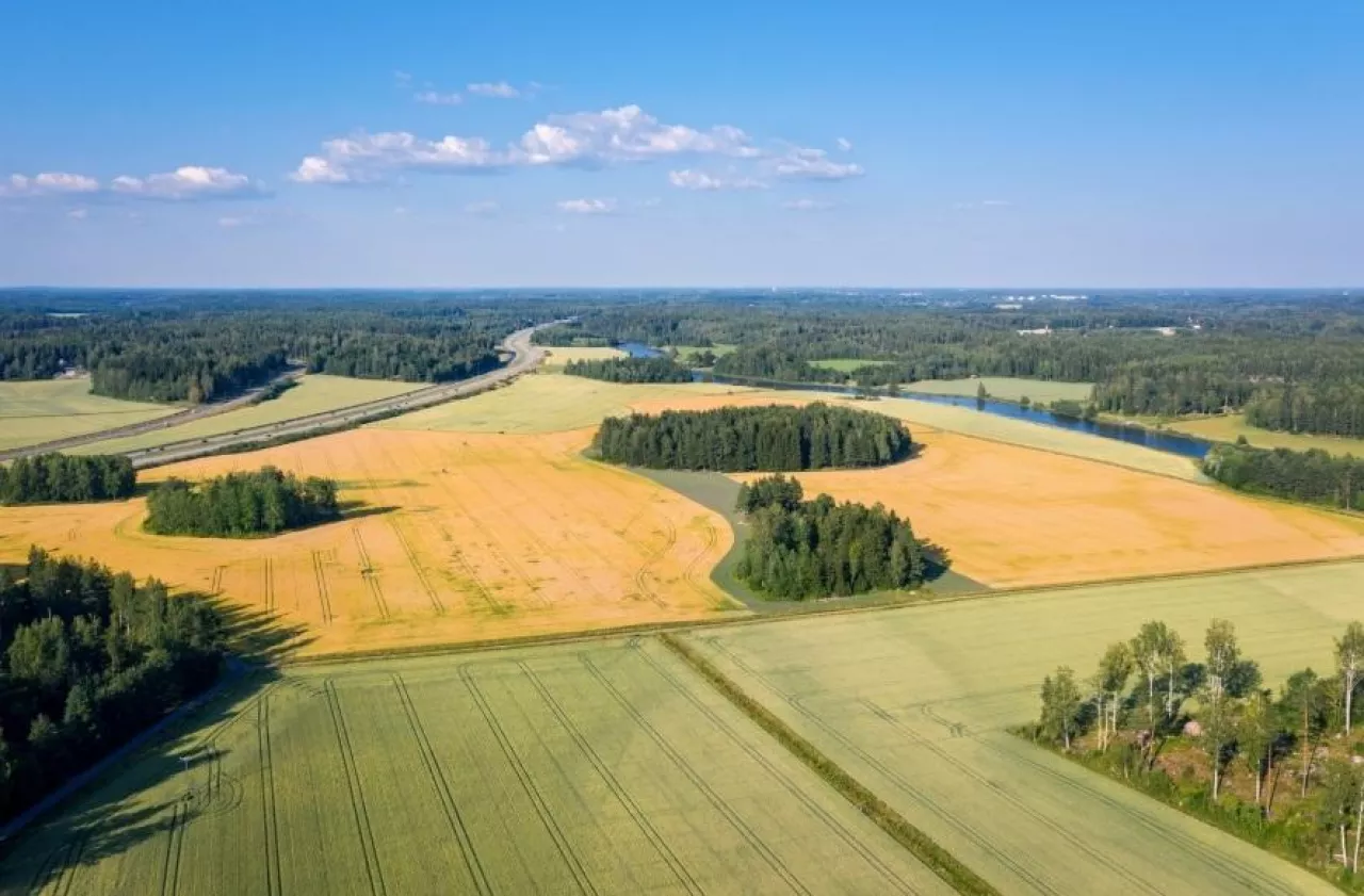 Struktura zasiewów w Polsce