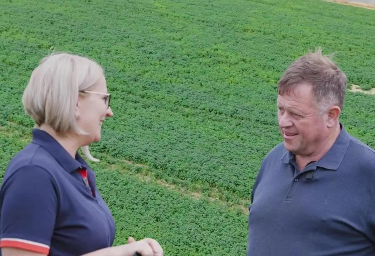 Liczyli na 50 t/ha, zbiorą połowę mniej ziemniaków. Susza i wysokie koszty dobijają rolników nie tylko w Polsce