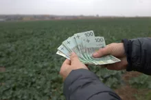 Do 10 mln zł na inwestycje dla przetwórców i grup producentów. Wnioski od 1 września