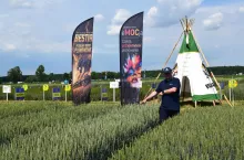 Podczas VII Krajowych Dni Pola w Szepietowie można było obejrzeć bogatą kolekcję odmian z Hodowli Roślin Strzelce