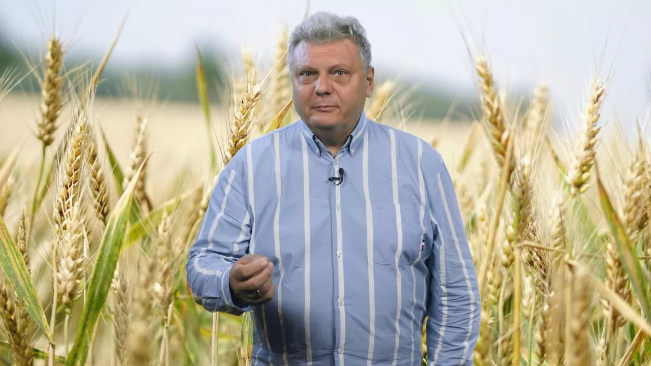 dr Juliusz Urban ekspert ds. rynków rolnych topagrar.pl