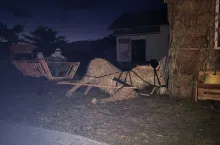Ozdoba dożynek zniszczona - komu przeszkadzał interesujący witacz?