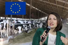 Mleczarstwo jest bardzo silnie regulowanym sektorem, co utrudnia funkcjonowanie – mówiła Kinga Adamaszwili, zastępca sekretarza generalnego Europejskiego Stowarzyszenia Mleczarzy (EDA)