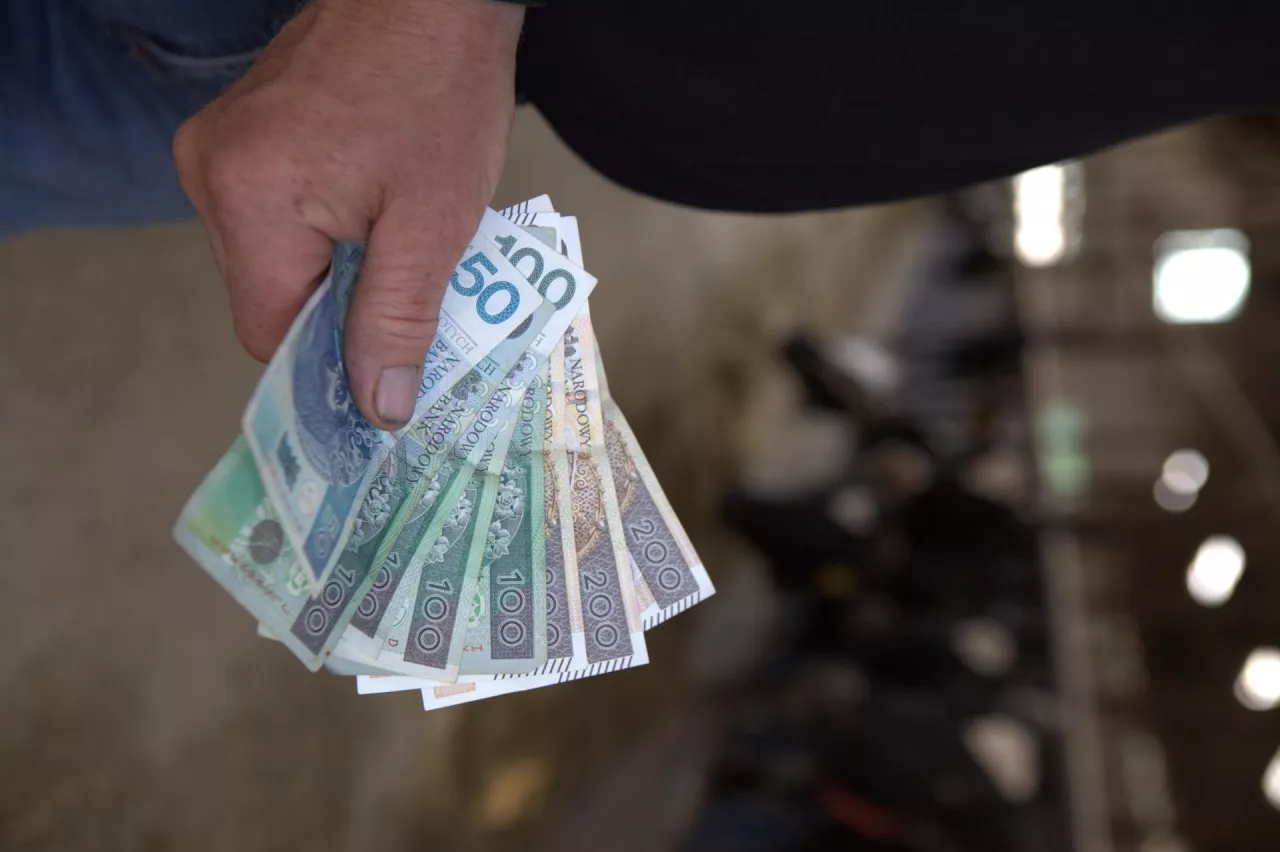 Płaca minimalna w górę. Rolnicy zatrudniający pracowników zapłacą więcej w 2027 roku