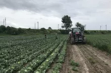  Kontrole transportu żywności w całej Polsce. Służby sprawdzają towar, auta i dokumenty