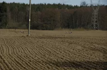 pole, uprawa, gospodarstwo