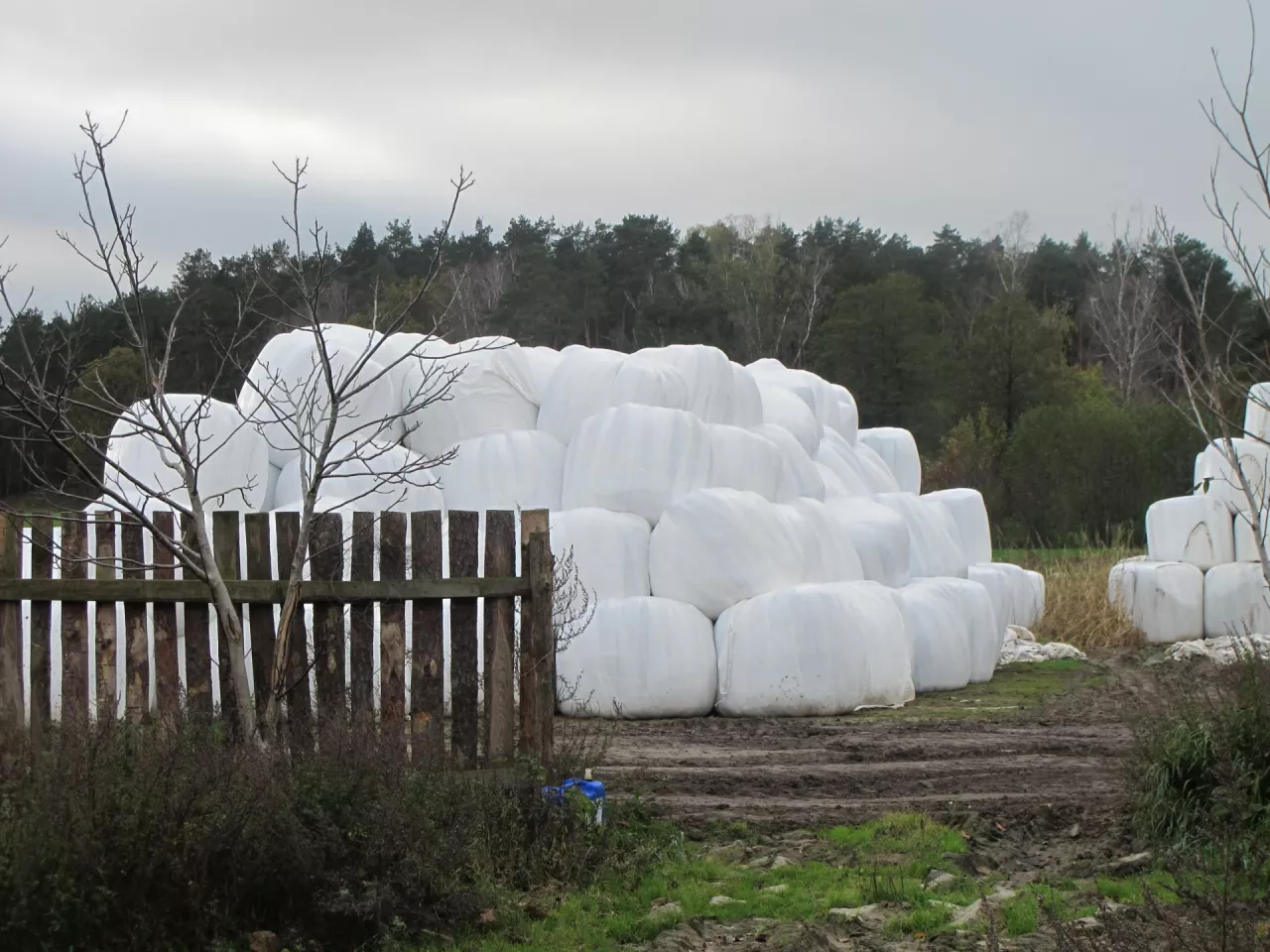 Spalanie folii i plastiku w gospodarstwie. Kara może być bardzo dotkliwa