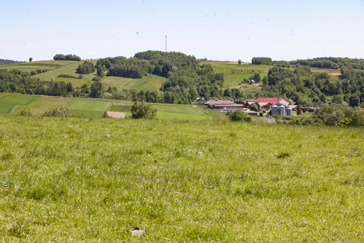 Nakaz rozbiórki budynku gospodarczego. Czy można się jeszcze odwołać?