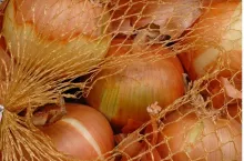 cebula, cena cebuli, import cebuli
