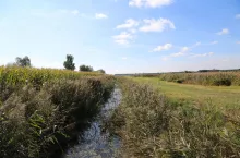 Zasypanie rowu melioracyjnego na polu bez pozwolenia może słono kosztować