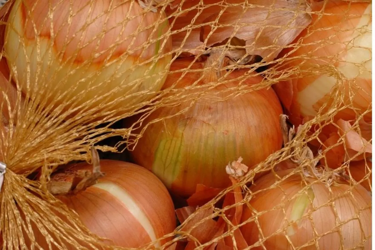 cebula, cena cebuli, import cebuli