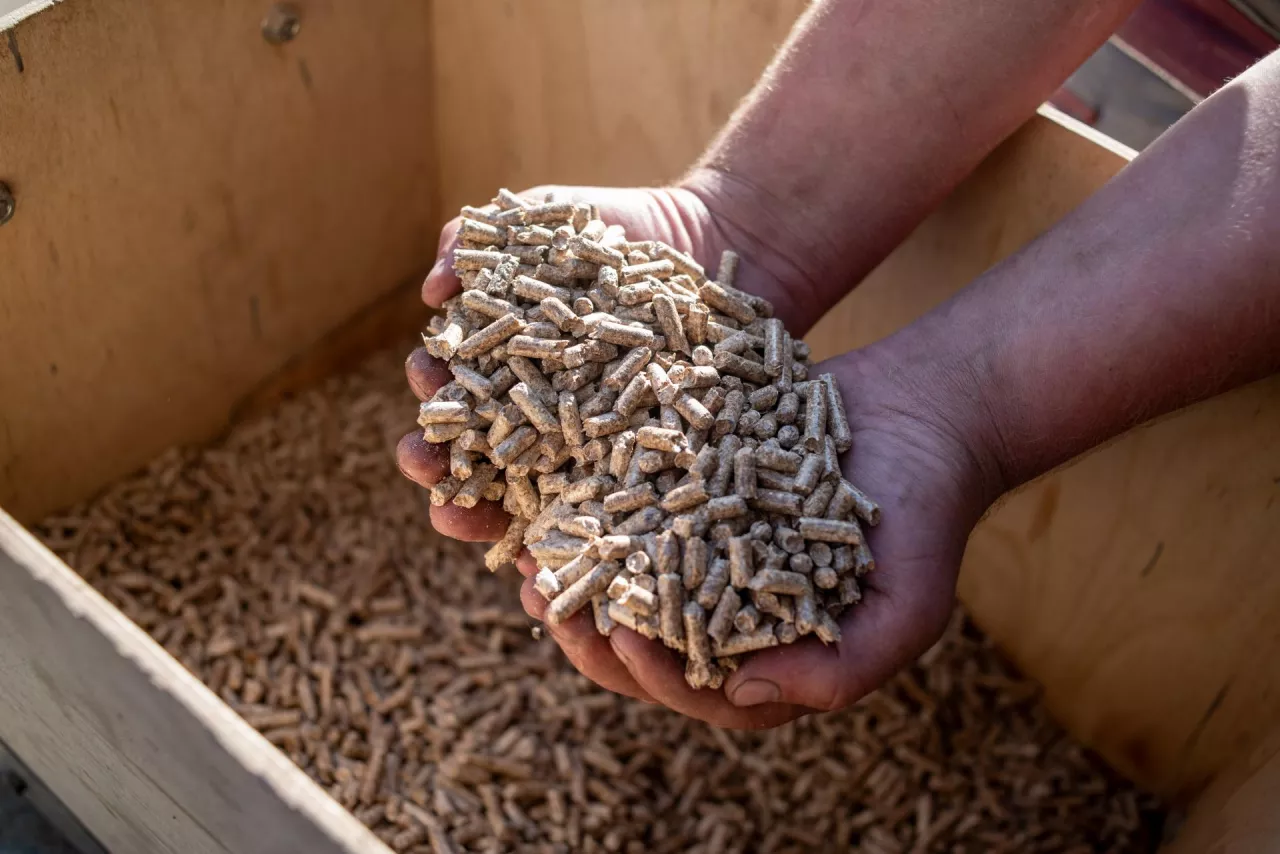 Nowe przepisy dla agropeletu. Będzie kontrola jakości biopaliw stałych
