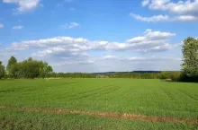 pole, powierzchnia 