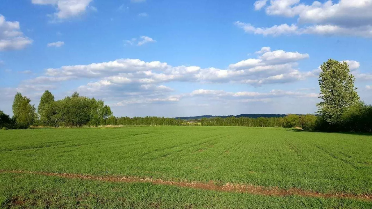 pole, powierzchnia 