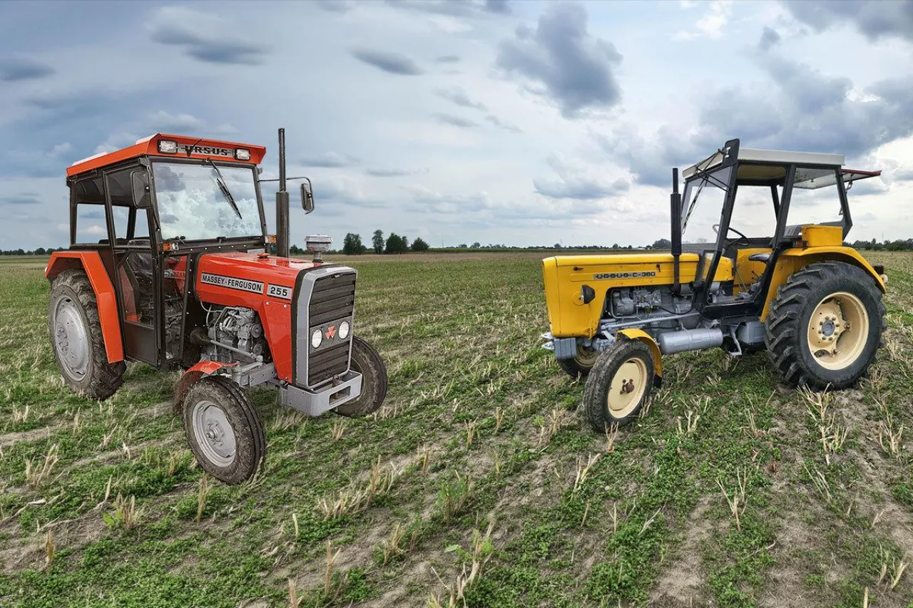MF 255 i Ursus C-360 na polu