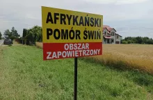 tablica informując o obszarze zagrożonym afrykańskim pomorem świń przed wjazdem do strefy