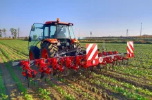 pole, traktor, pielnik