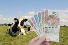 Autorzy katalogu wskazują jako potencjalne źródła finansowania m.in. ekoschematy, dotacje, kredyty ESG, rozwiązania w formule ESCO oraz mechanizmy premiujące osiągnięty efekt środowiskowy