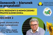 Słonecznik – kierunek na przyszłość w odcinku ”Rynek słonecznika i jego opłacalność