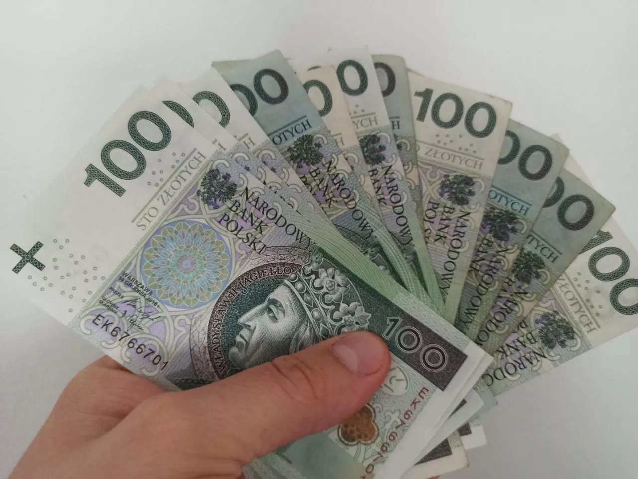 W badaniu 43,4% gospodarstw deklarowało spadek przychodów pieniężnych