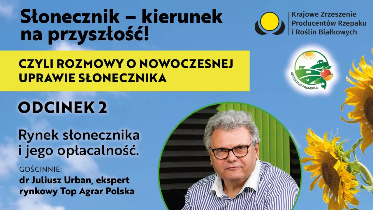 Słonecznik – kierunek na przyszłość w odcinku ”Rynek słonecznika i jego opłacalność