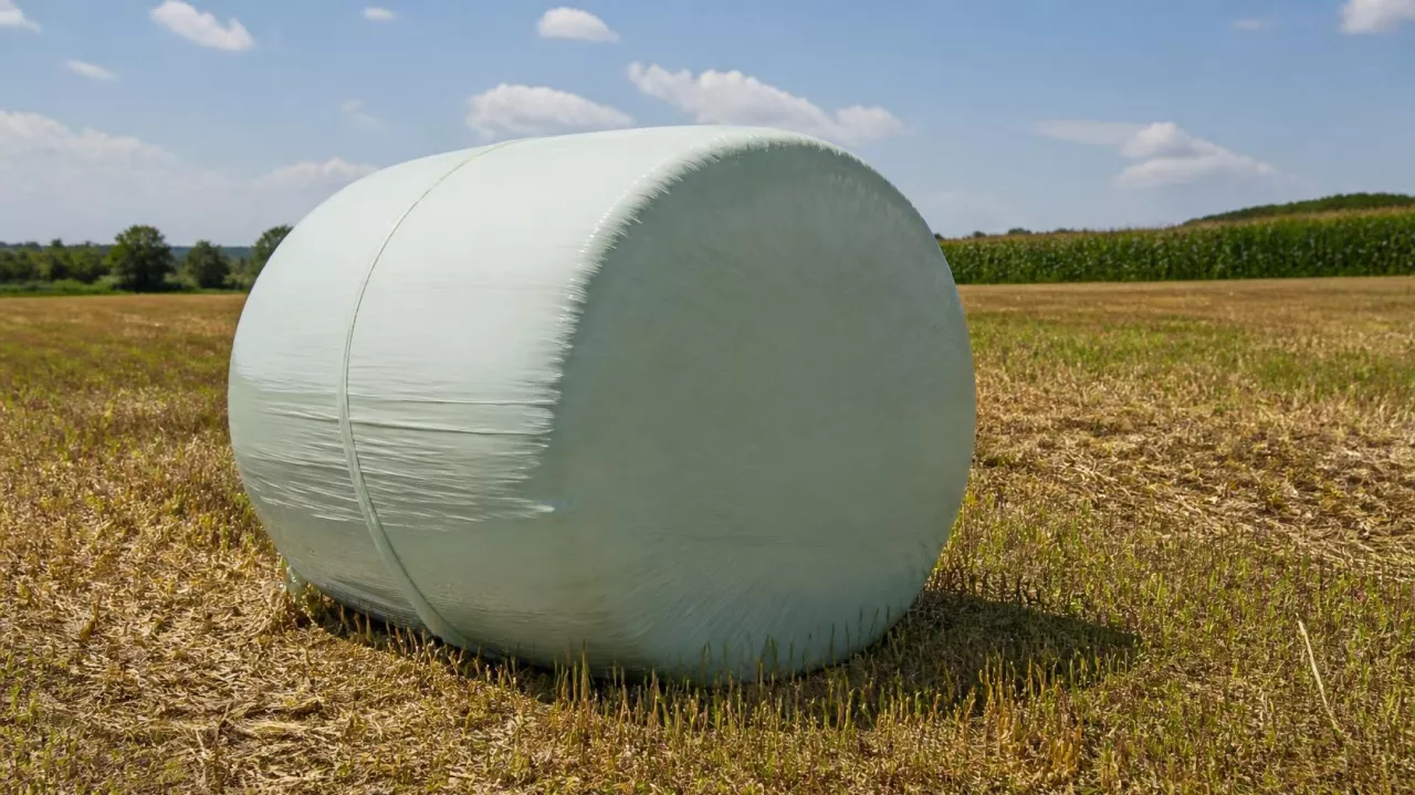 Big-bagi i folia po kiszonce: ile kosztuje ich odbiór z gospodarstwa?
