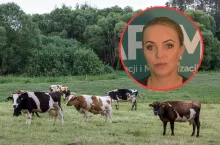 bydło na wypasie, Agnieszka Koniecko z ARiMR
