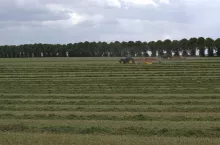 Właściciel sprzedaje dzierżawione pole. Kiedy dzierżawca może mieć prawo pierwokupu?