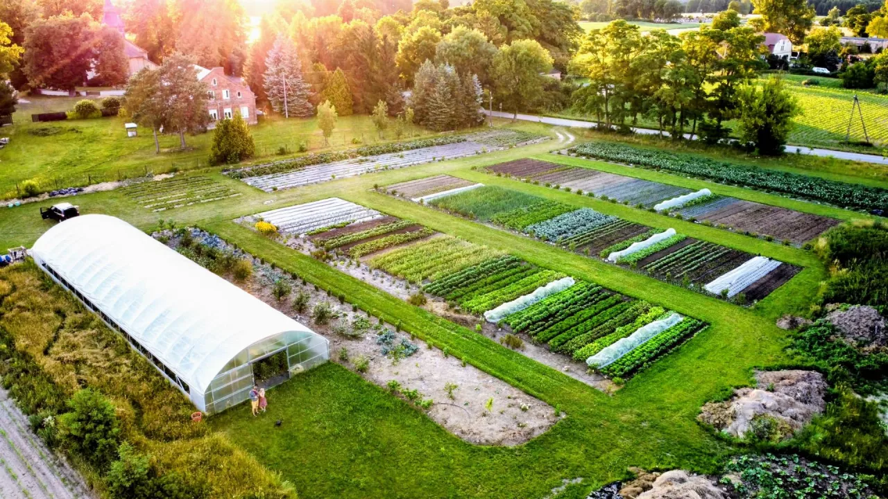 Farma Bergamutka