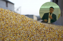 Według szacunków Mirosława Marciniaka produkcja kukurydzy w Polsce w sezonie 2026/27 może wynieść 8,87 mln ton (+2,3%). Jeżeli te szacunki się potwierdzą, Polska może po raz pierwszy zostać liderem produkcji kukurydzy w Unii Europejskiej