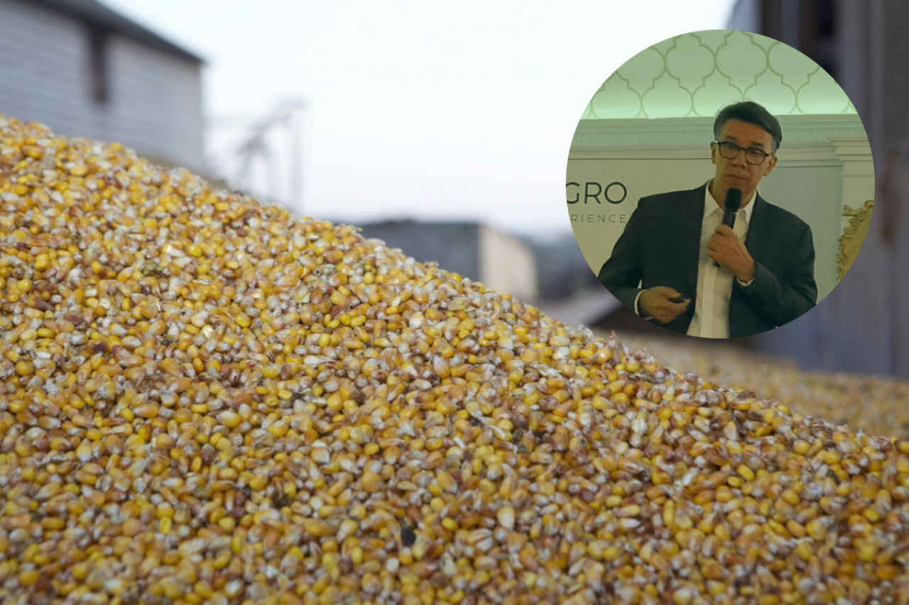 Według szacunków Mirosława Marciniaka produkcja kukurydzy w Polsce w sezonie 2026/27 może wynieść 8,87 mln ton (+2,3%). Jeżeli te szacunki się potwierdzą, Polska może po raz pierwszy zostać liderem produkcji kukurydzy w Unii Europejskiej