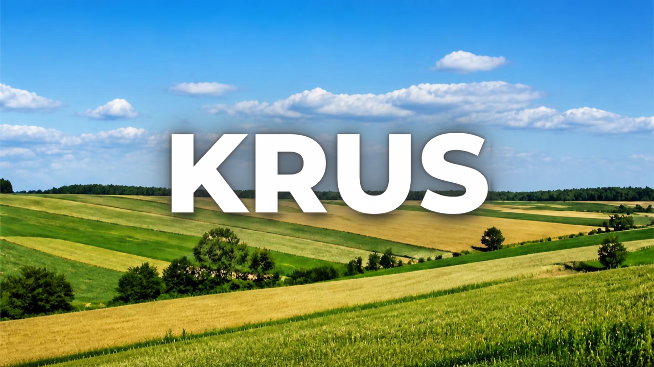 Rozwód a KRUS. Czy rozwiedziona żona może zostać w ubezpieczeniu rolniczym?
