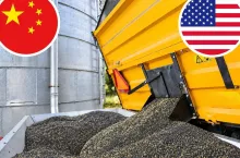 rzepak w cieniu porozumienia Chiny-USA