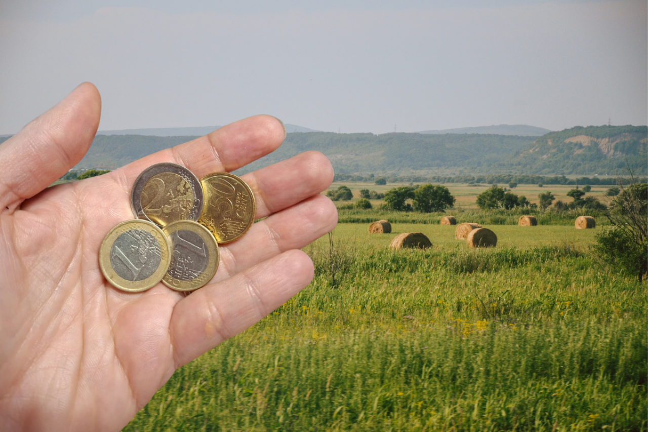 Znamy kurs euro do dopłat 2026. Wyliczyliśmy, ile mogą dostać rolnicy