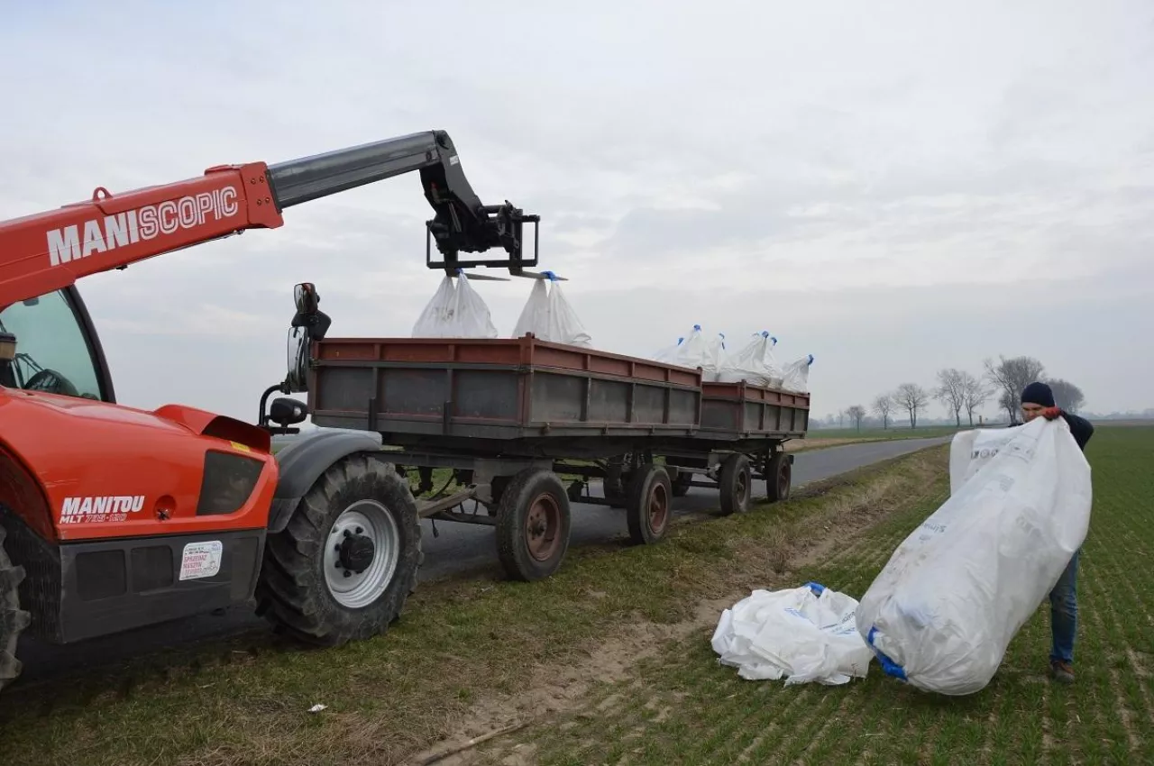 Rozładowywanie big bagów z nawozami z przyczepy za pomocą ładowarki teleskopowej
